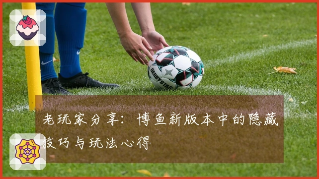 老玩家分享：博鱼新版本中的隐藏技巧与玩法心得