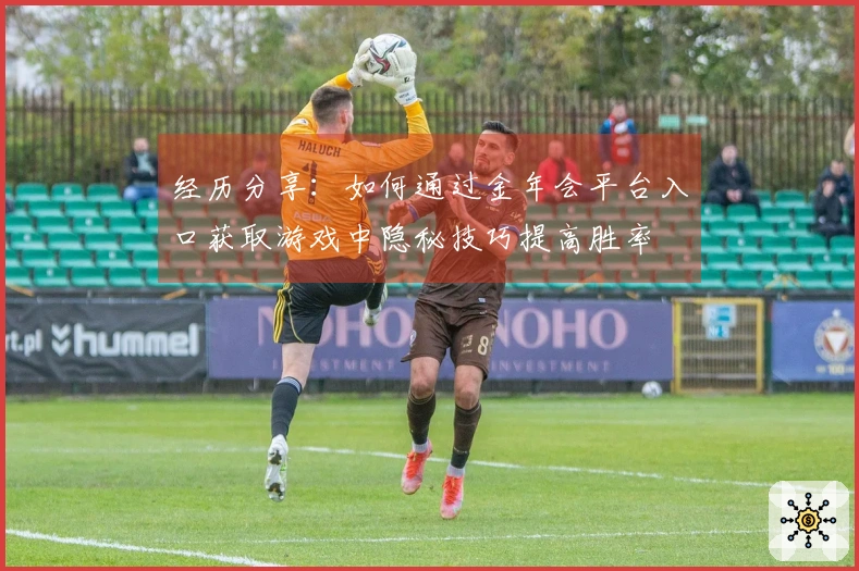 经历分享：如何通过金年会平台入口获取游戏中隐秘技巧提高胜率