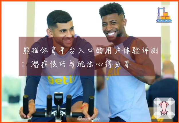 熊猫体育平台入口的用户体验评测:潜在技巧与玩法心得分享